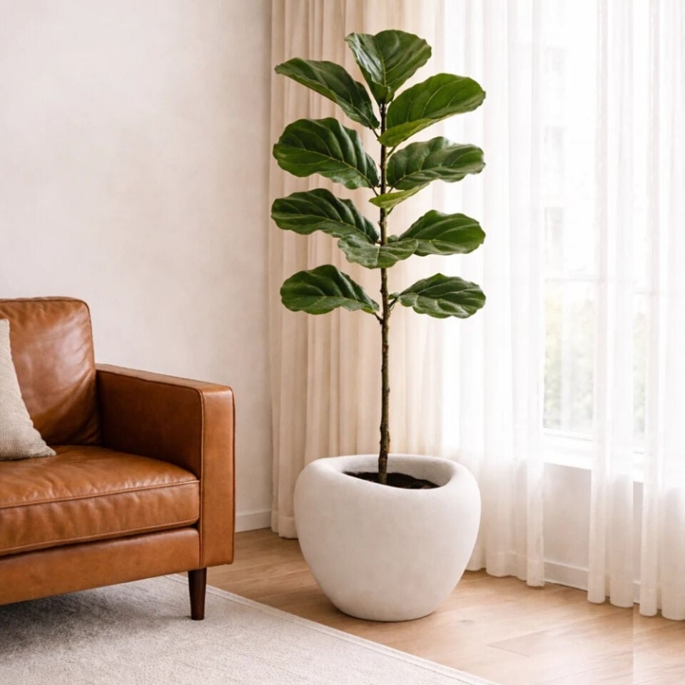 Luna-S Beton Görünümlü Fiberglass Saksı 40 cm x 30 cm - İç ve Dış Mekana Uyumlu