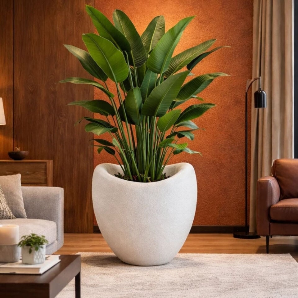 Luna-XL Beton Görünümlü Fiberglass Saksı 60 cm x 65 cm - İç ve Dış Mekana Uyumlu